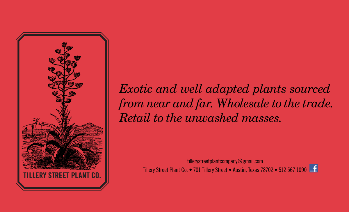 exotic plants